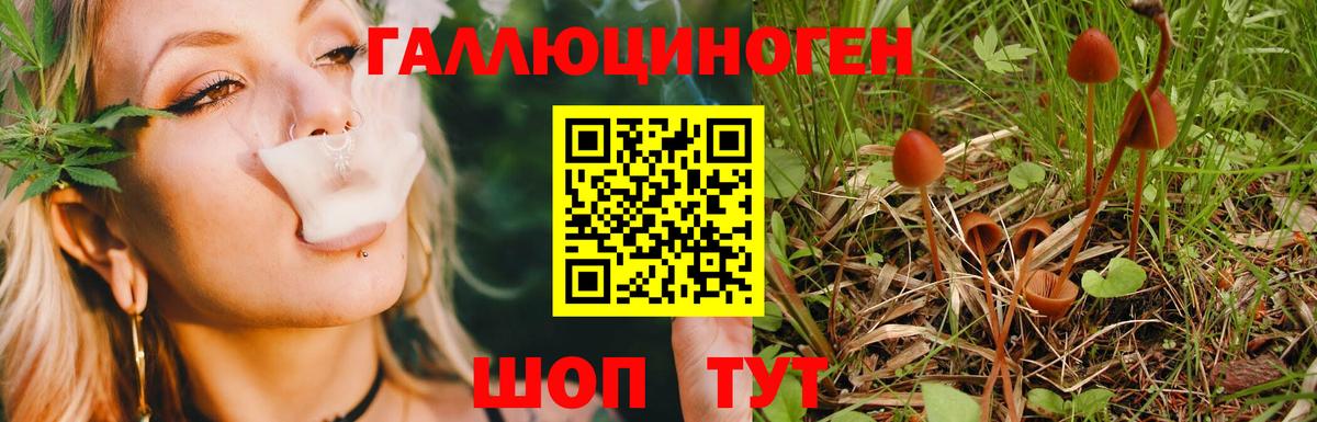 Псилоцибиновые грибы MAGIC MUSHROOMS Петрозаводск
