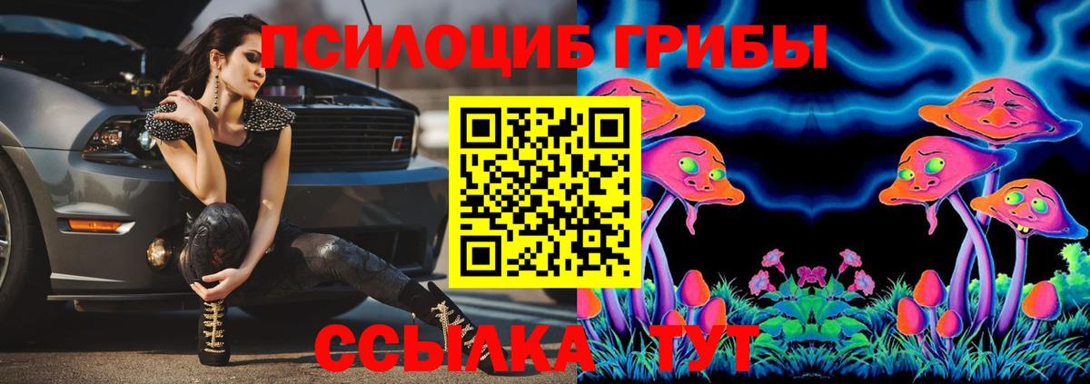 Псилоцибиновые грибы прущие грибы  Псилоцибиновые грибы Cubensis  Петрозаводск  Вход с VPN 